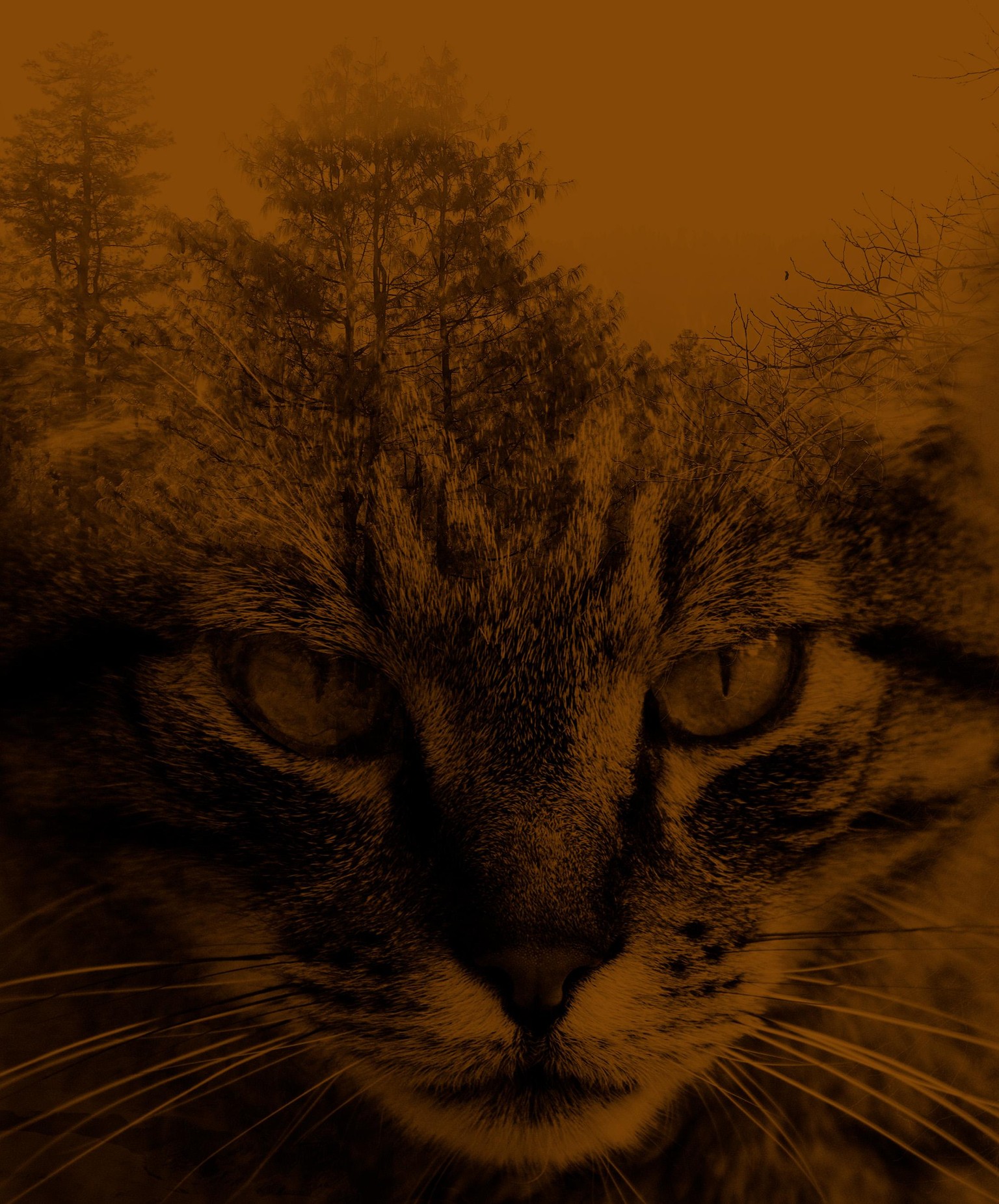 exercise - image 2 - student project