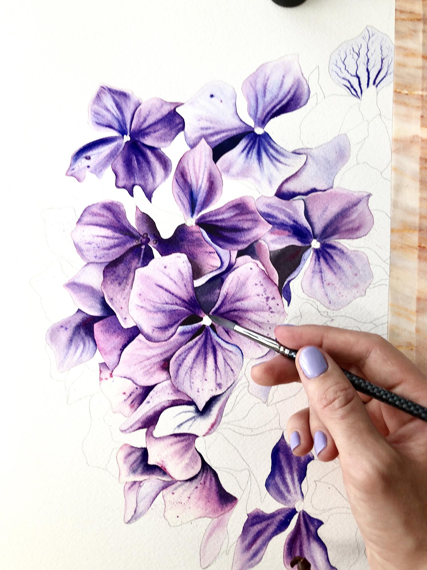 Watercolor Hydrangea - image 3 - student project