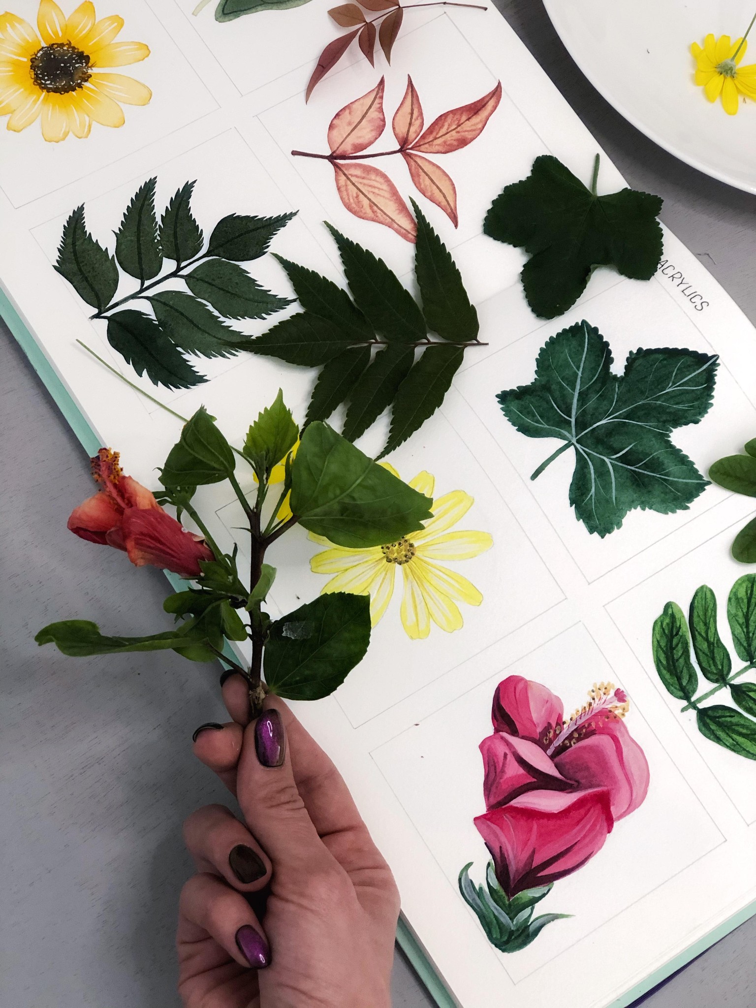 Watercolor vs Acrylic: A Bird of Paradise - image 2 - student project
