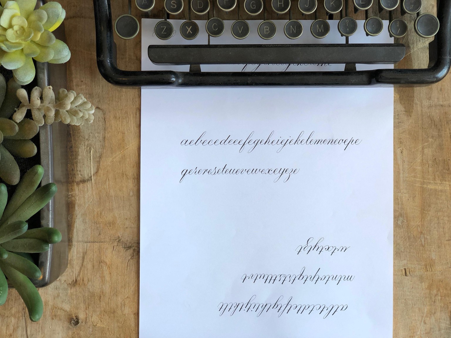 Necklace and Pangrams - image 1 - student project