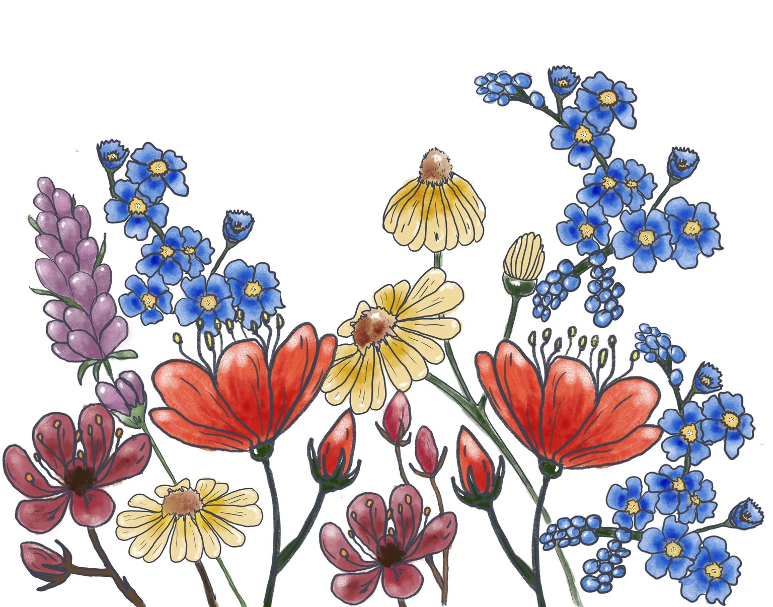 Watercolors - image 1 - student project