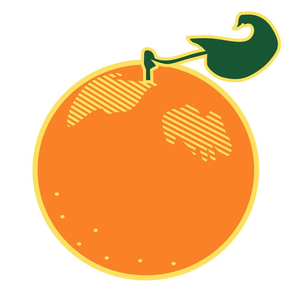 Florida Orange Pin - image 4 - student project