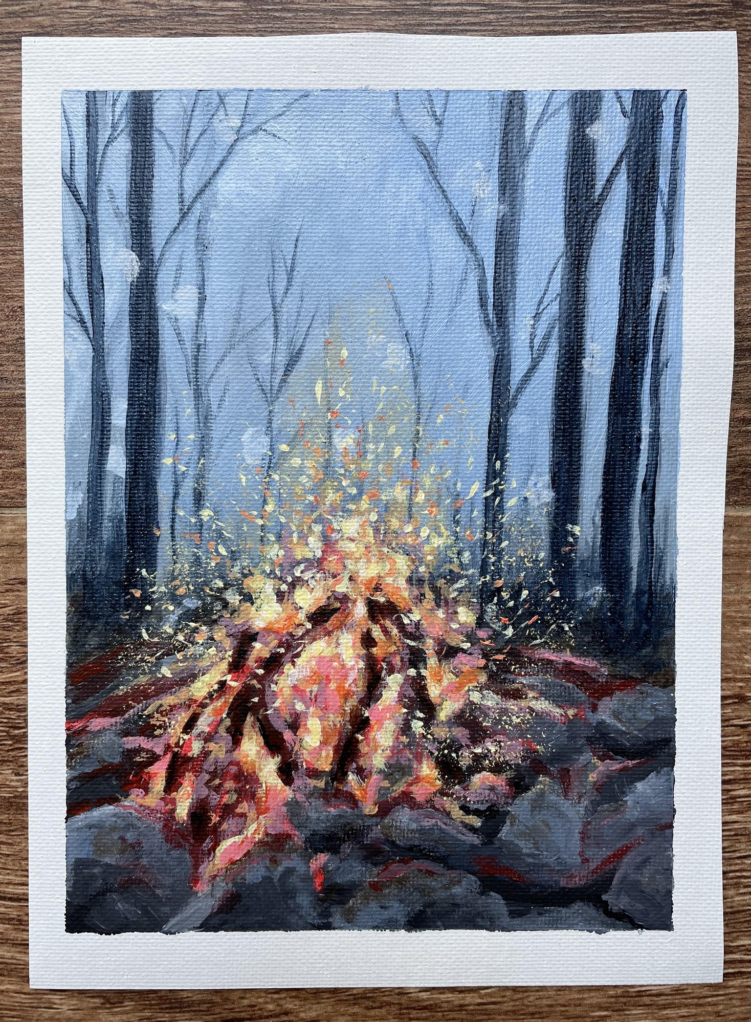 Cozy Campfire - image 1 - student project