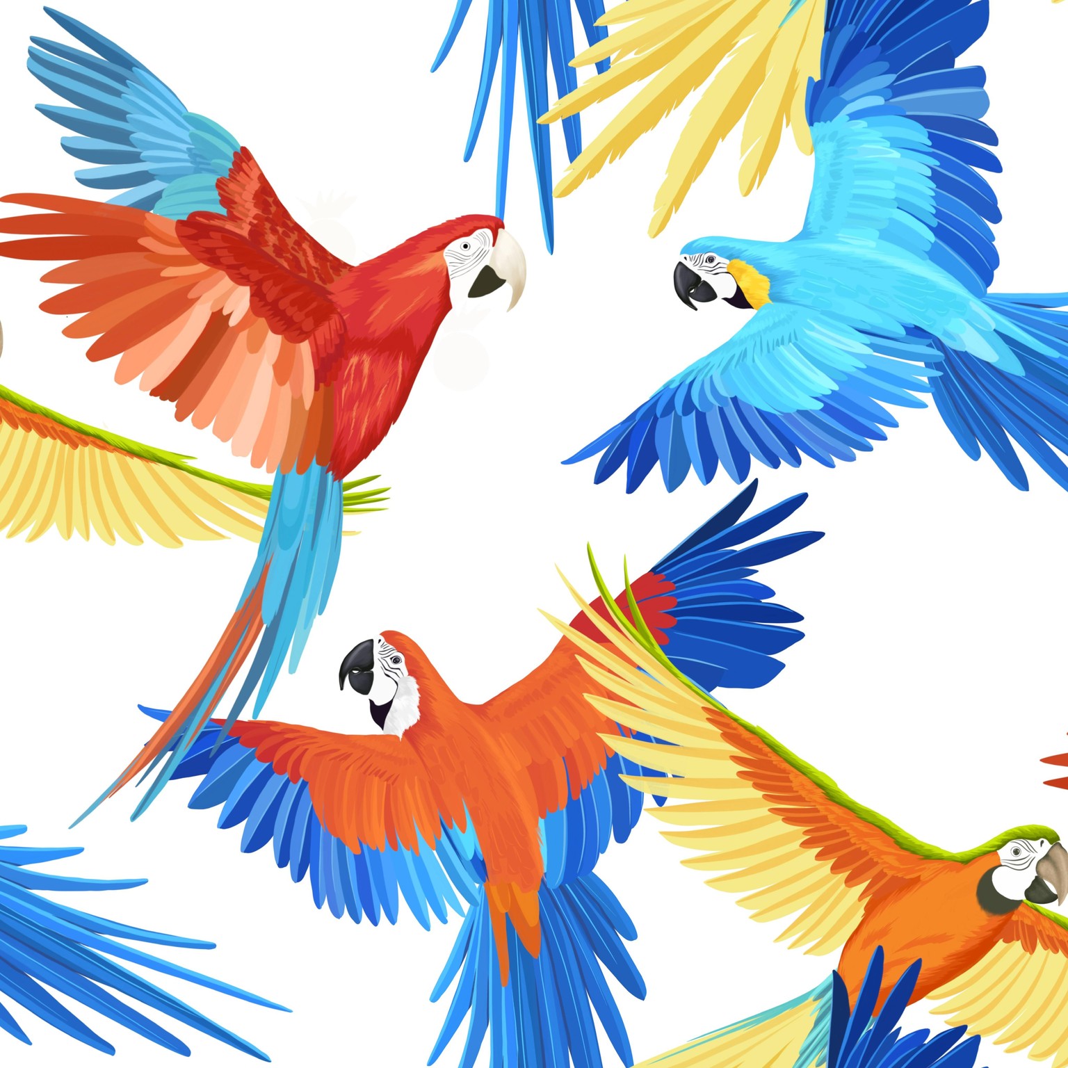 Sun Conure & Kingfisher - image 1 - student project