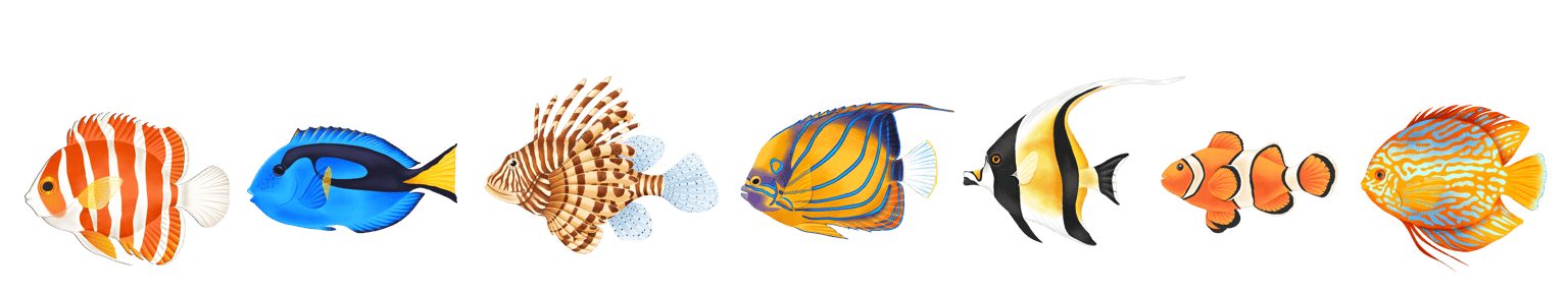 Illustrate Tropical Fishes In Procreate - image 1 - student project