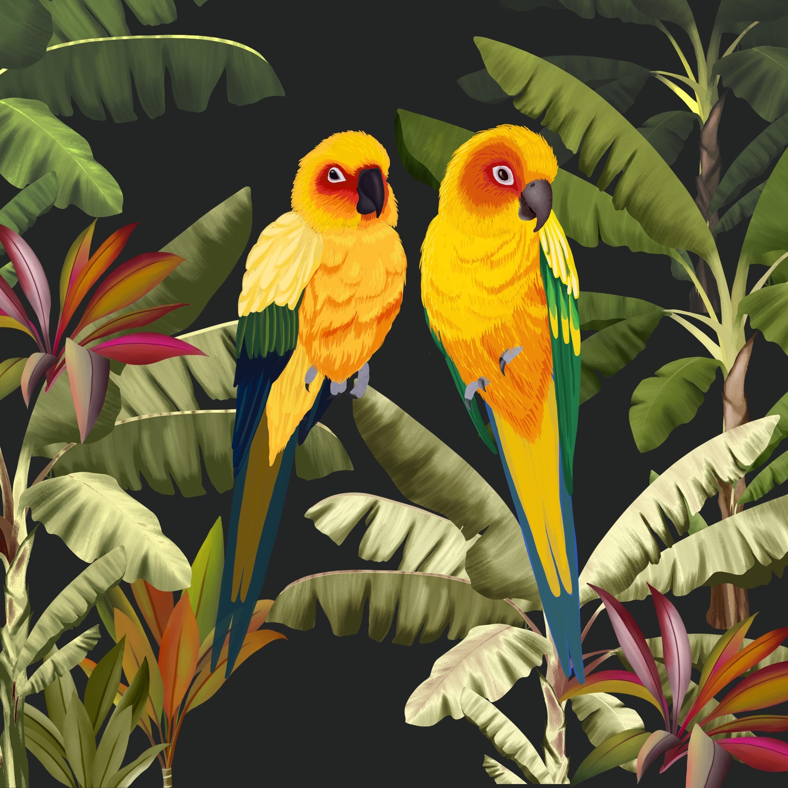 Sun Conure & Kingfisher - image 2 - student project