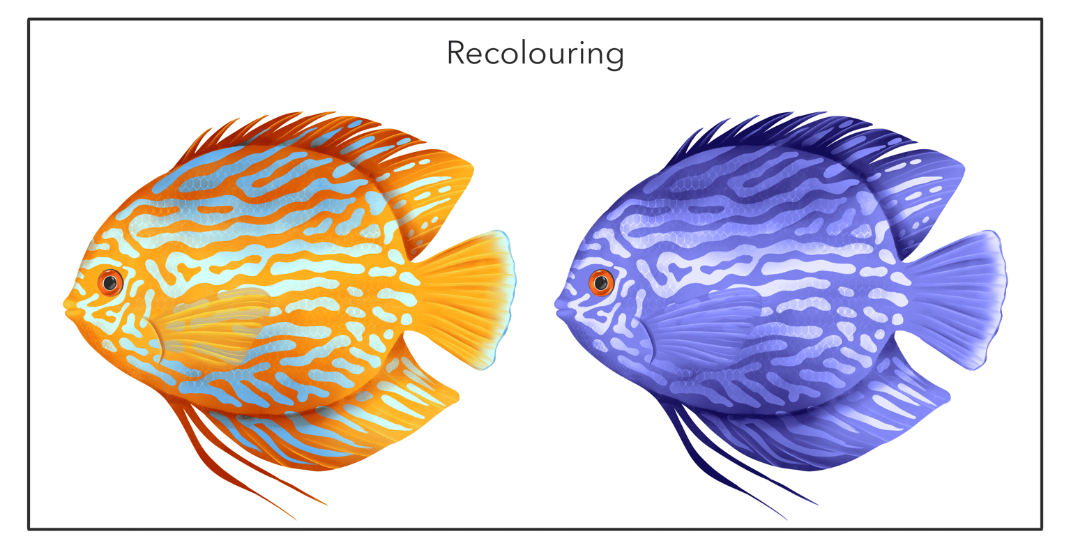 Illustrate Tropical Fishes In Procreate - image 2 - student project