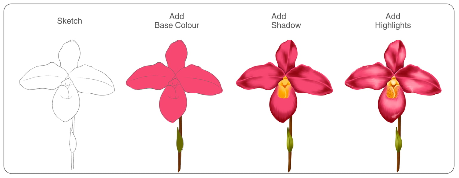 Illustrate Orchids in Procreate - image 1 - student project