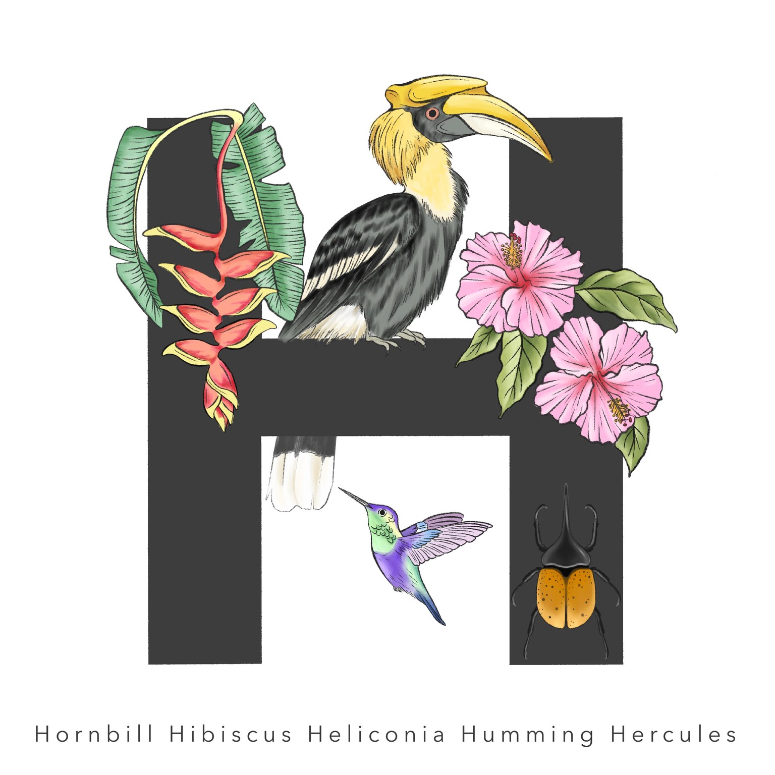 Tropical Alphabets In Procreate - image 2 - student project