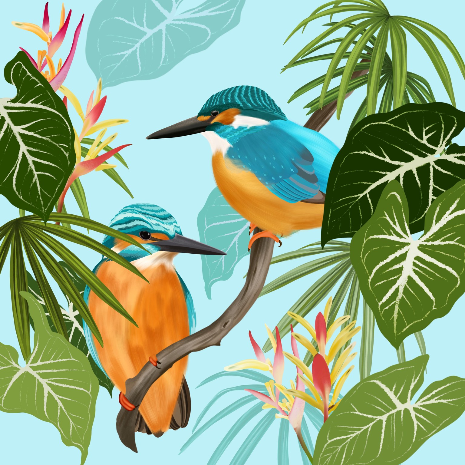 Sun Conure & Kingfisher - image 3 - student project
