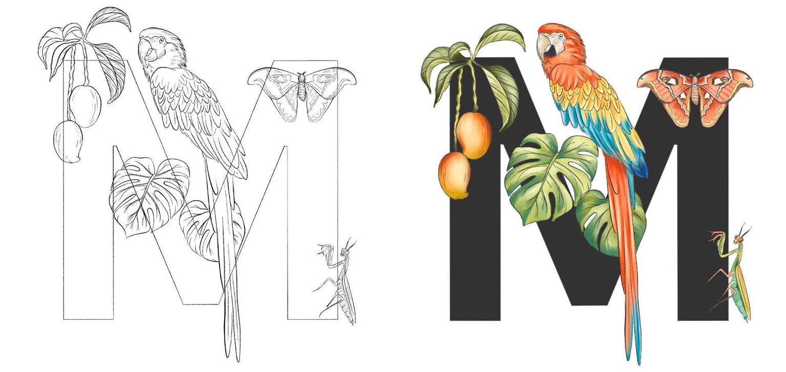 Tropical Alphabets In Procreate - image 1 - student project