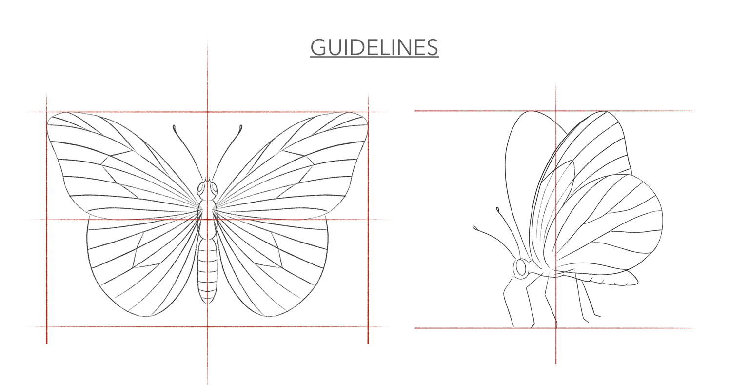 Illustrate Butterflies And 3 Ways To Animate In Procreate - image 2 - student project