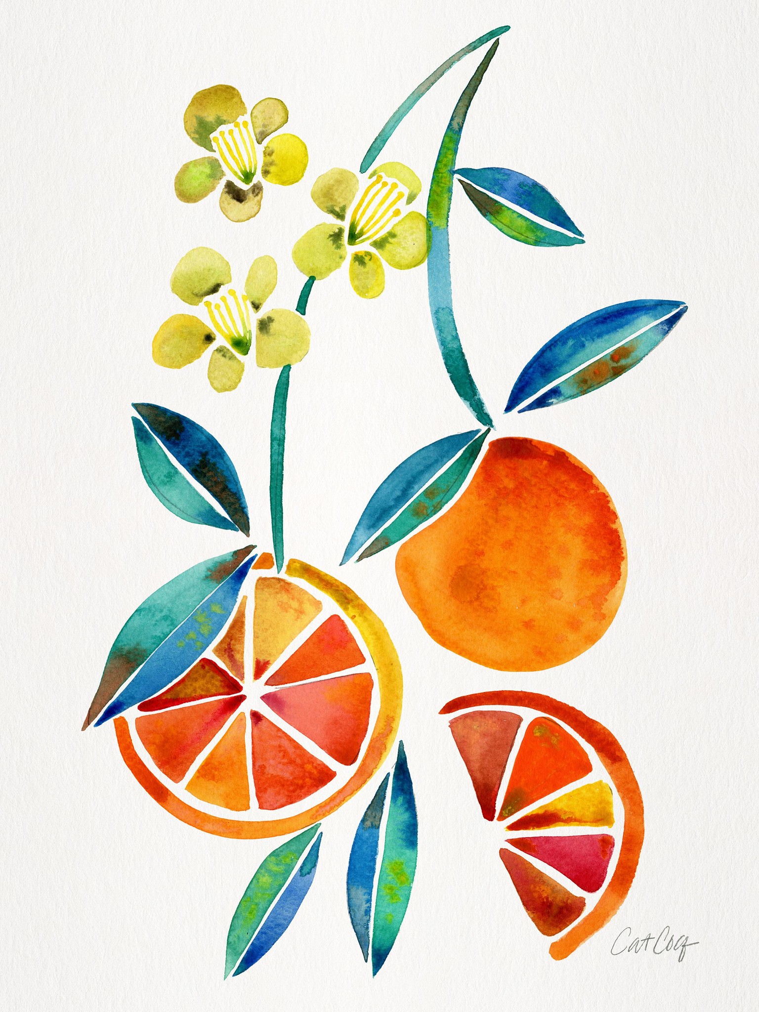 Fruits & Florals in Watercolor - image 2 - student project