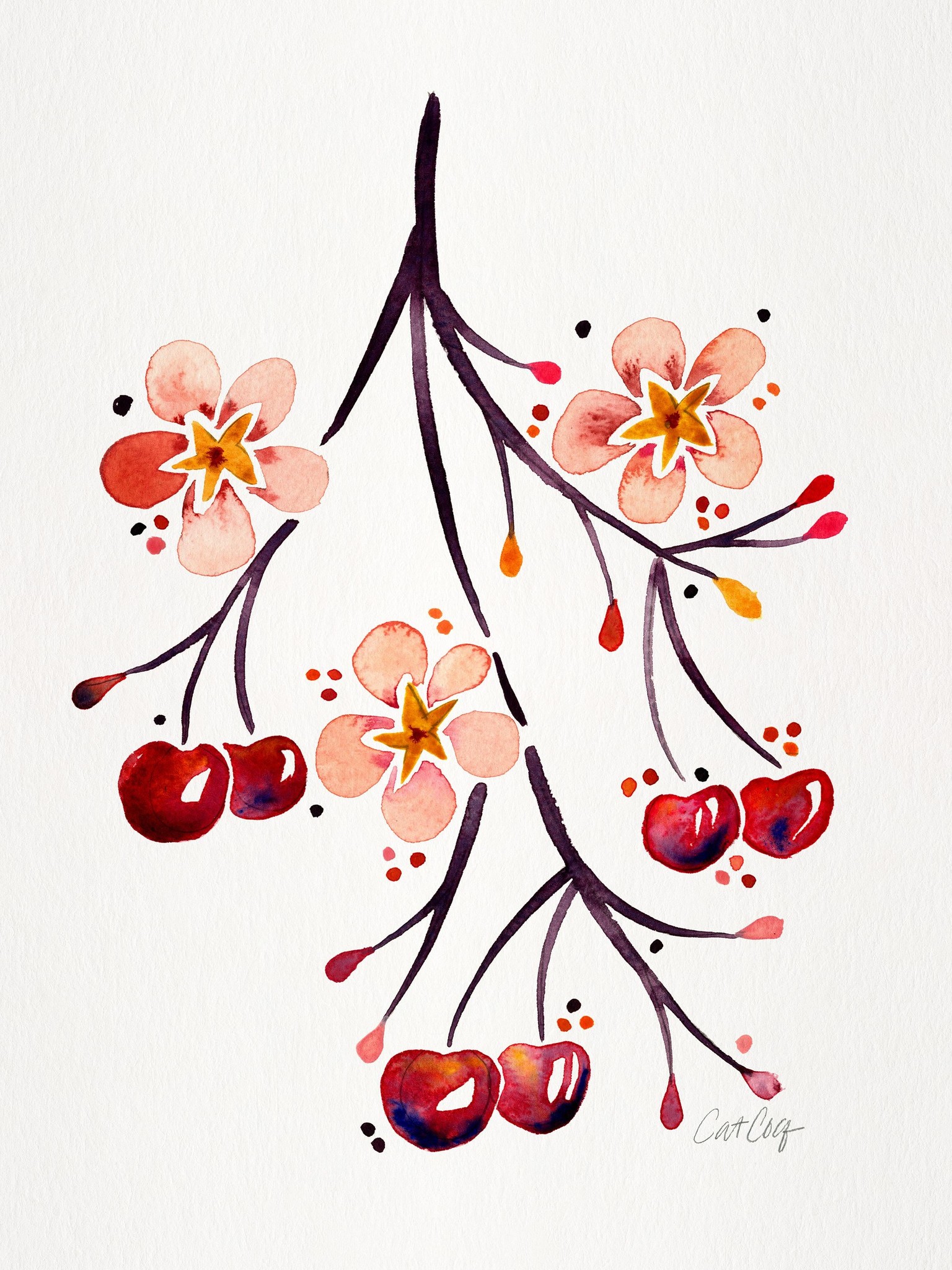 Fruits & Florals in Watercolor - image 3 - student project
