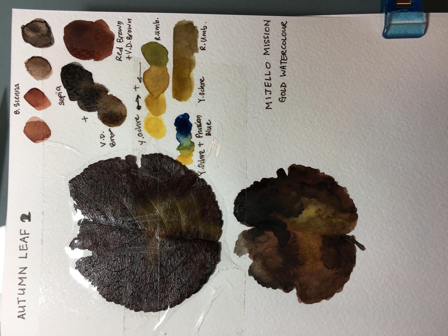 Autumn leaves - image 2 - student project