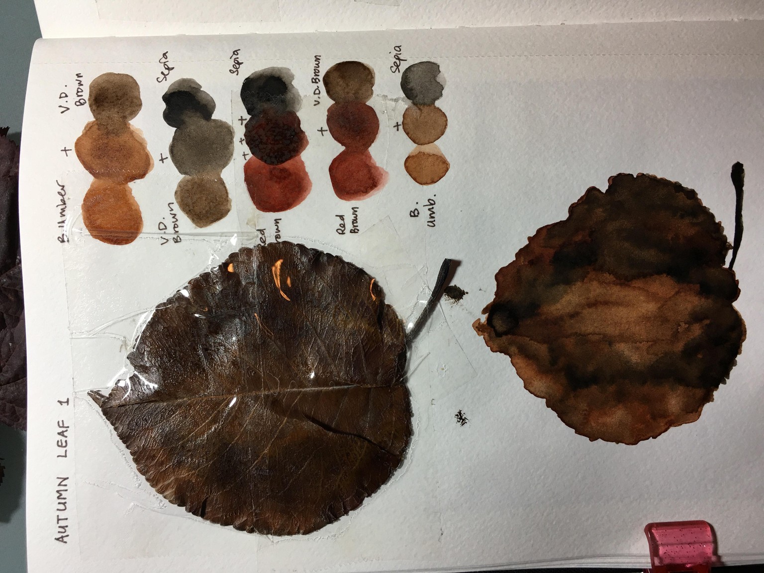Autumn leaves - image 1 - student project