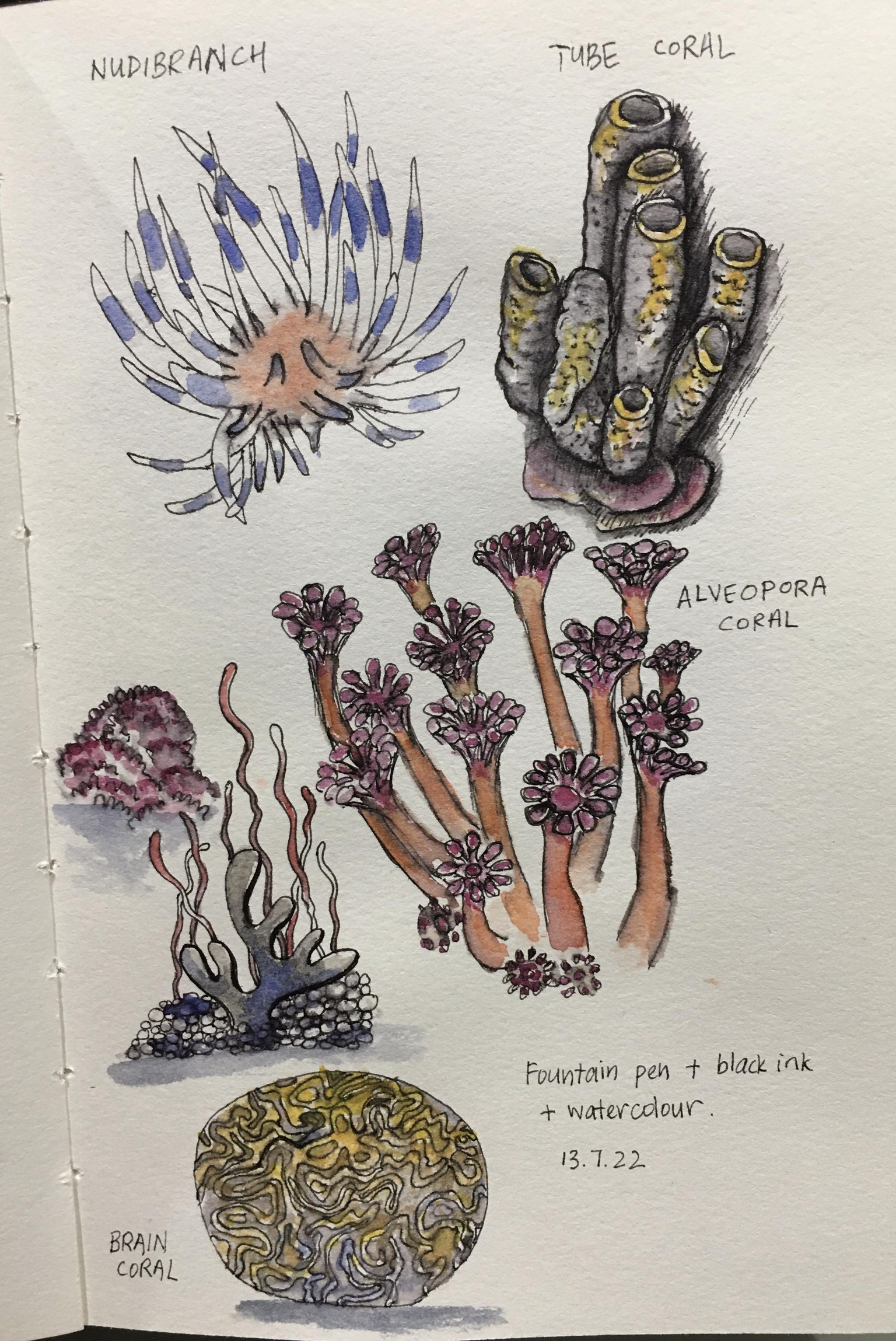 Interesting & Fun - image 8 - student project
