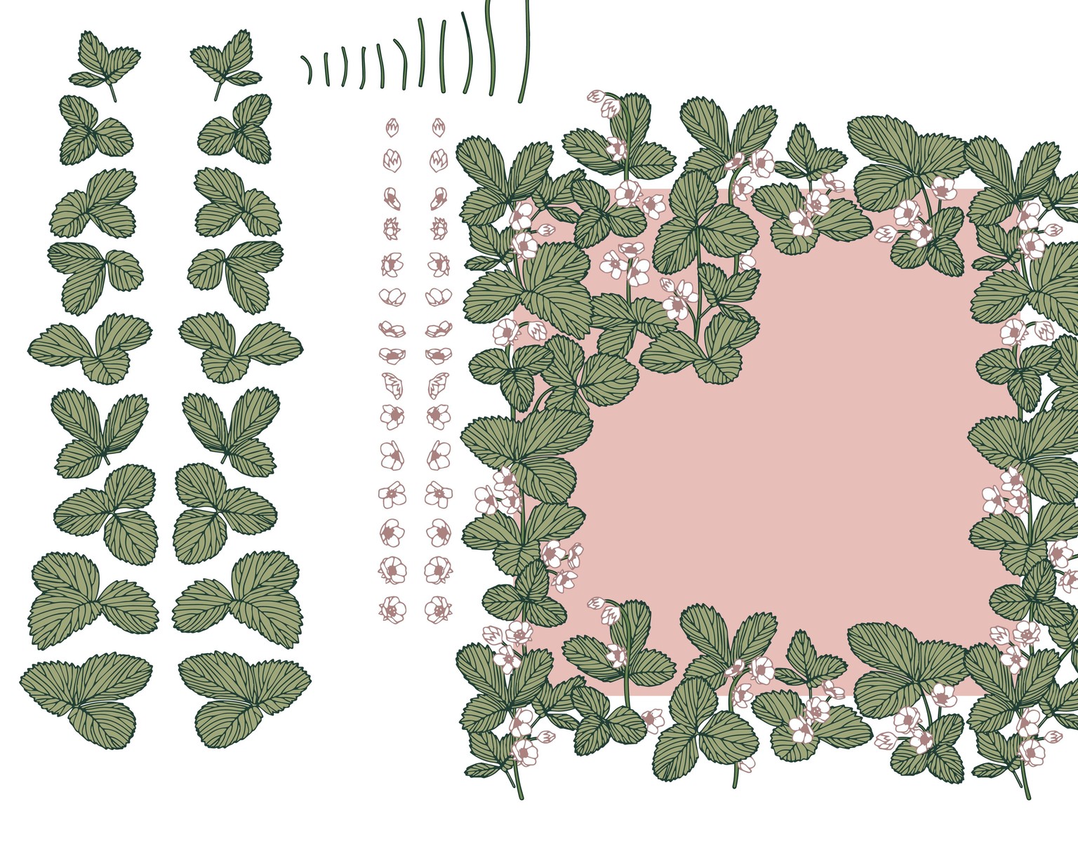 Wild strawberry - image 3 - student project