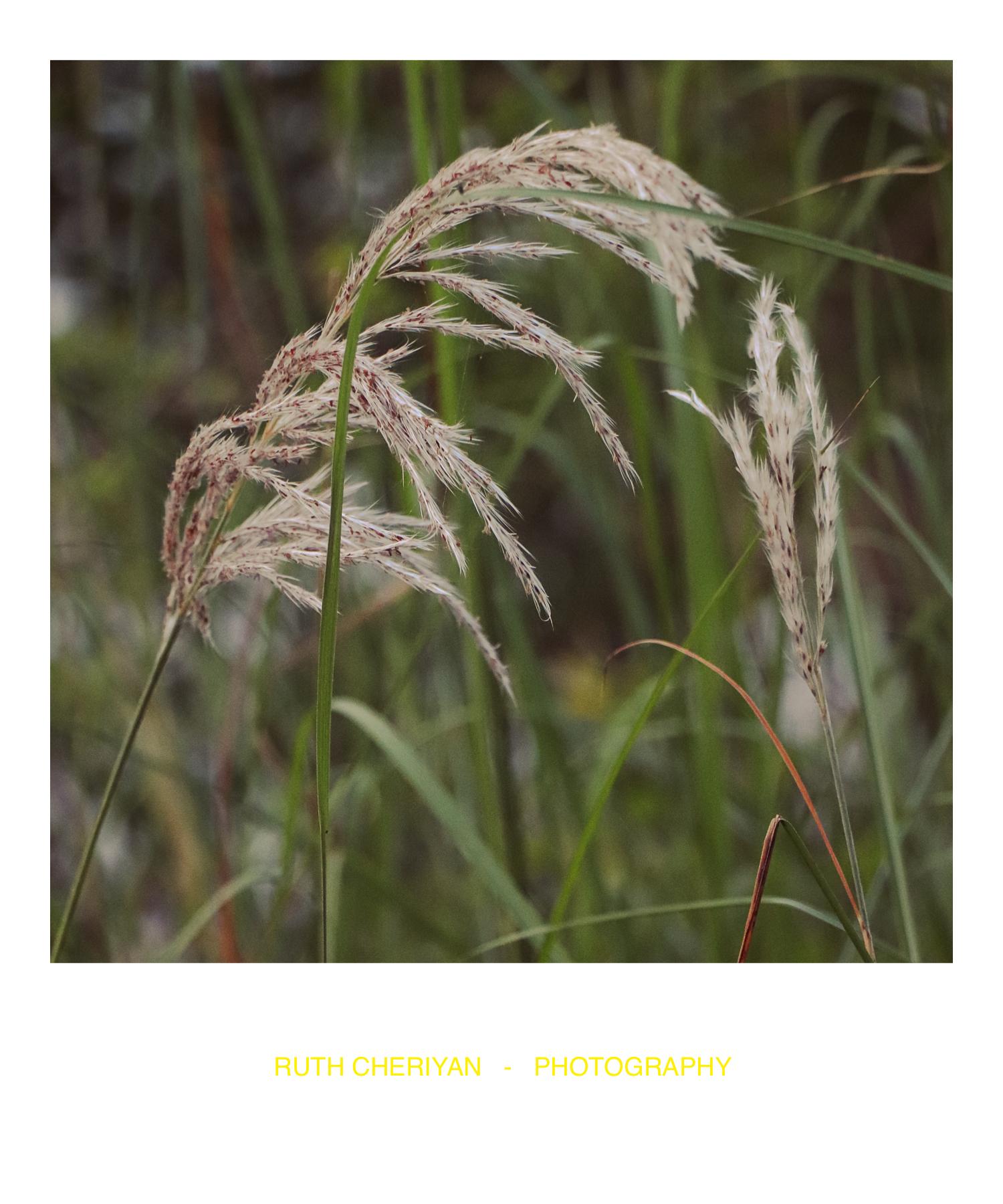 This was exactly what I was looking for - image 1 - student project