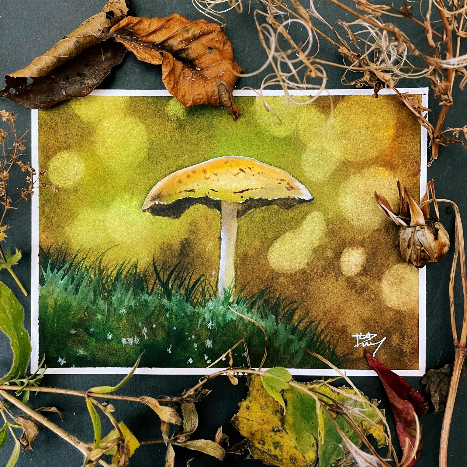 Charming bokeh mushroom - image 1 - student project