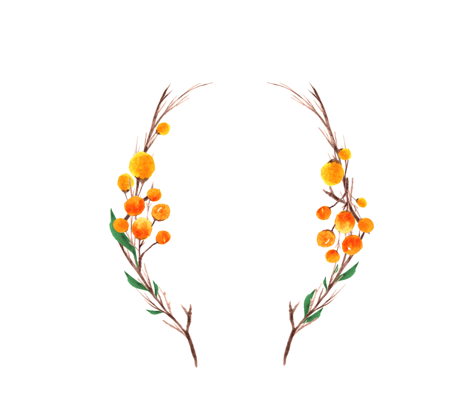 Digitizing watercolors - image 2 - student project