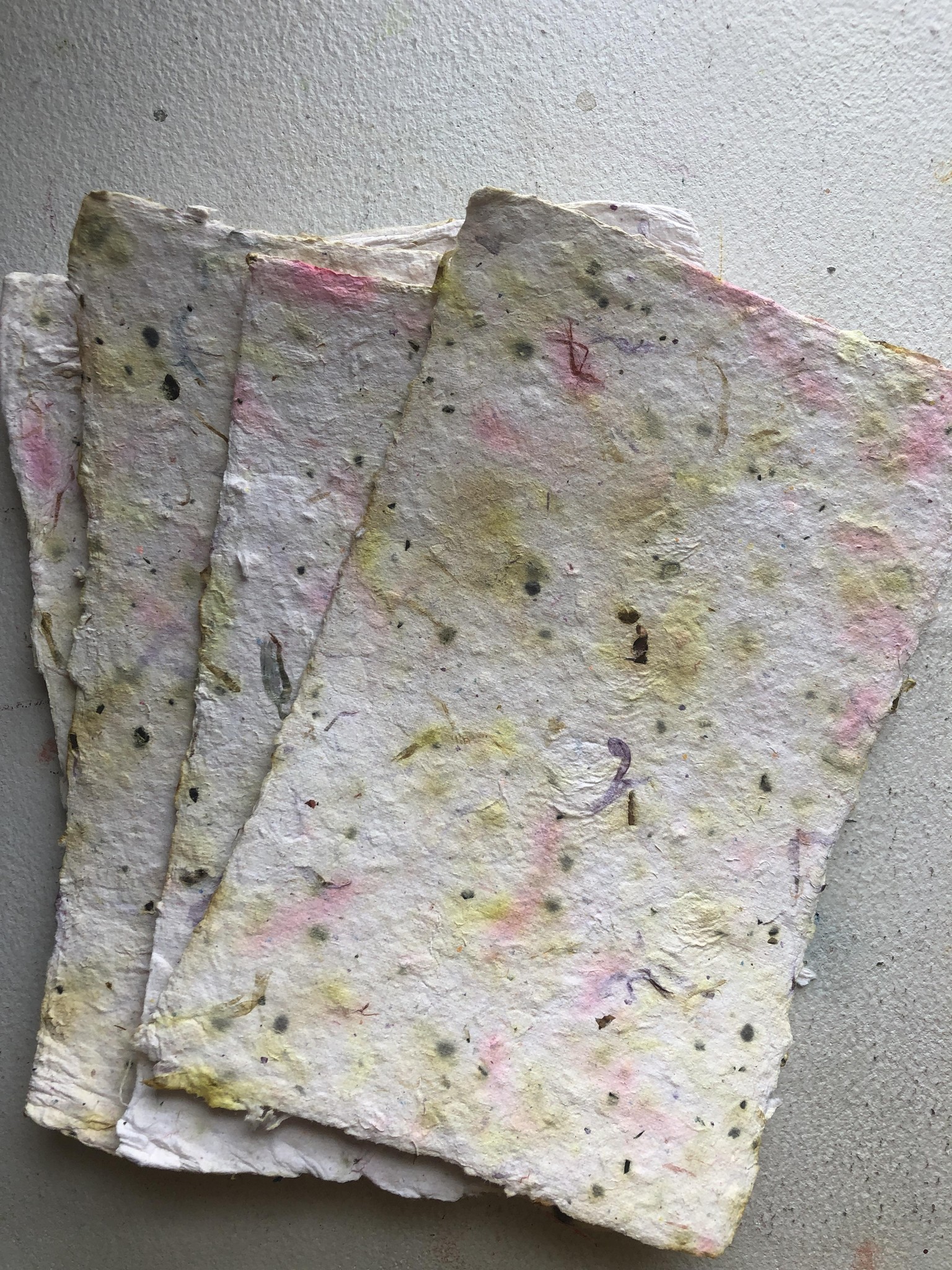 Paintings on Handmade Paper - image 2 - student project