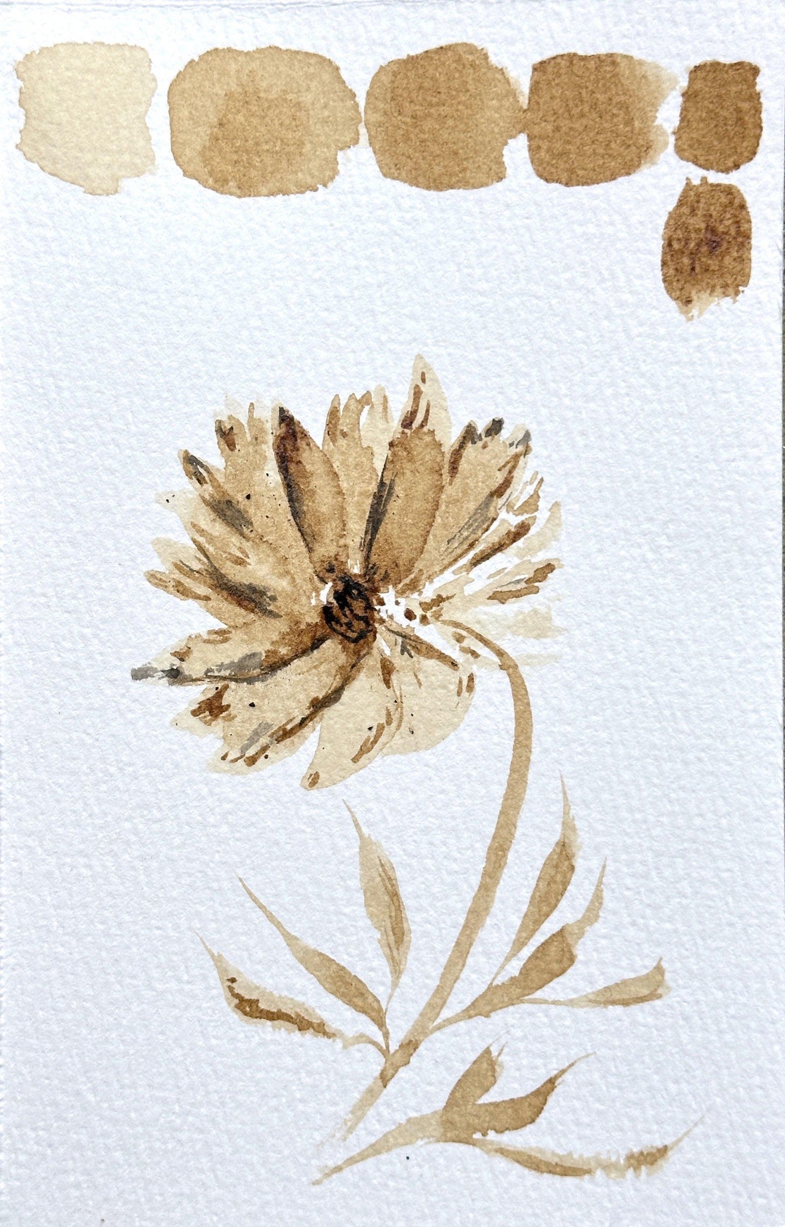 Paint Flowers Using Coffee - image 1 - student project