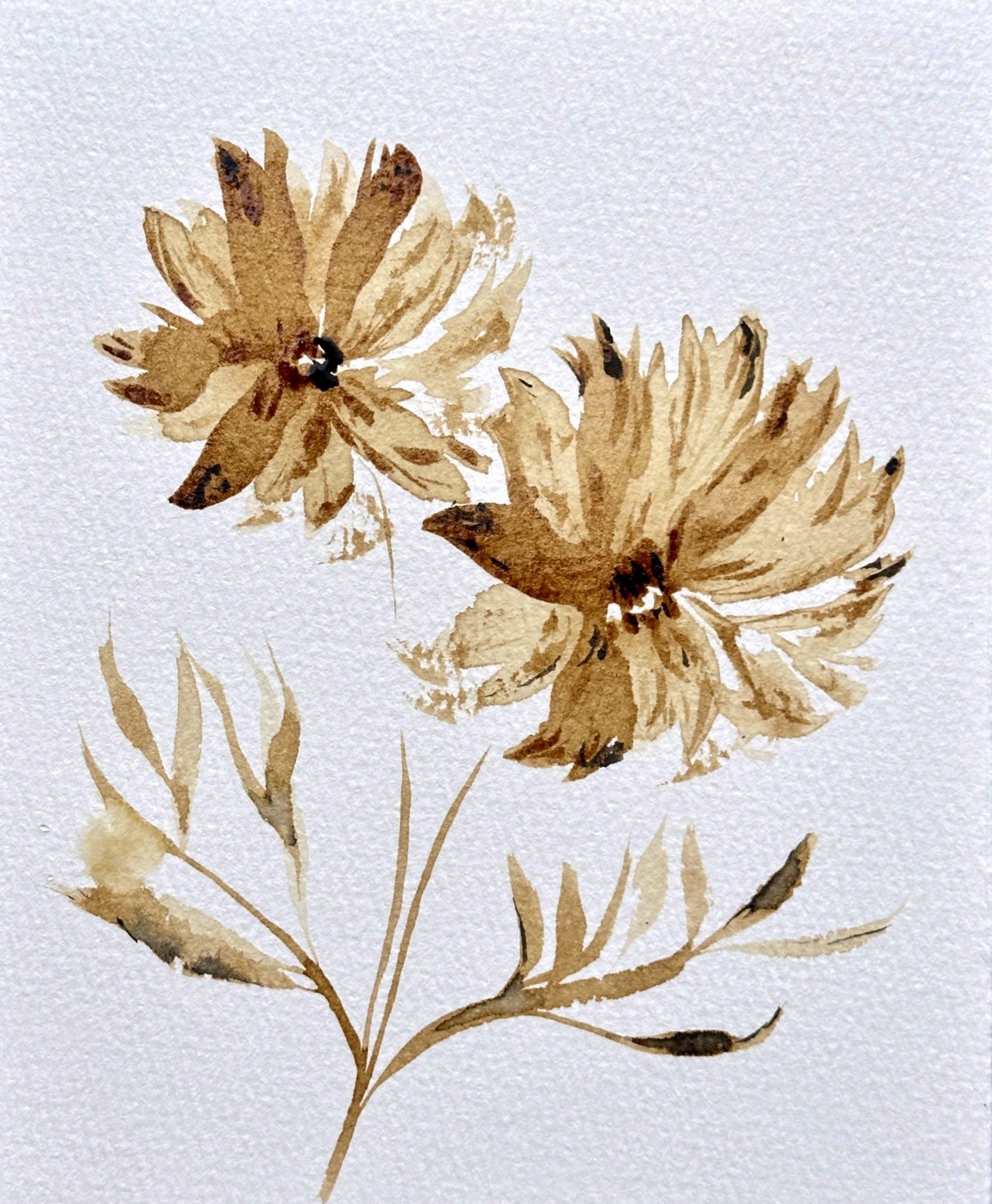 Paint Flowers Using Coffee - image 2 - student project