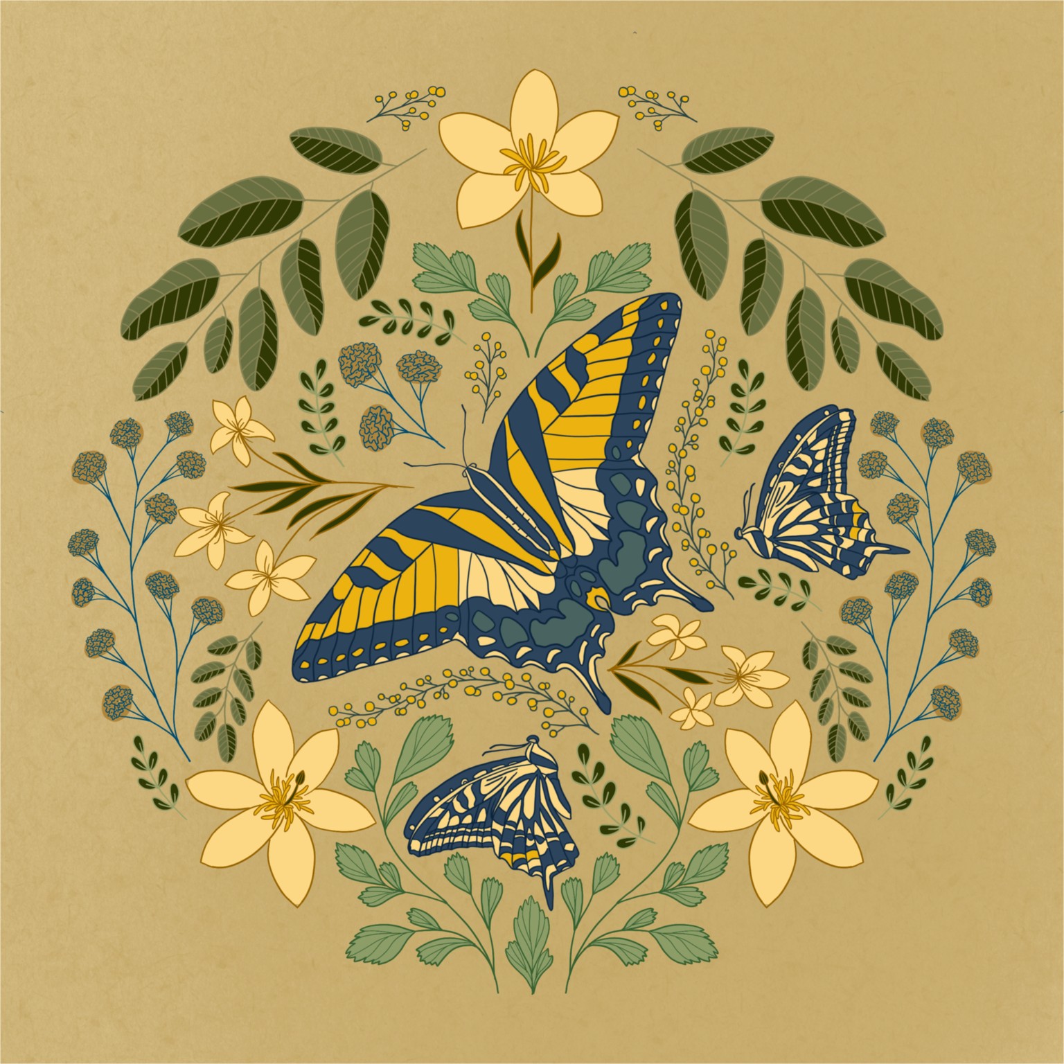 Butterflies - image 2 - student project