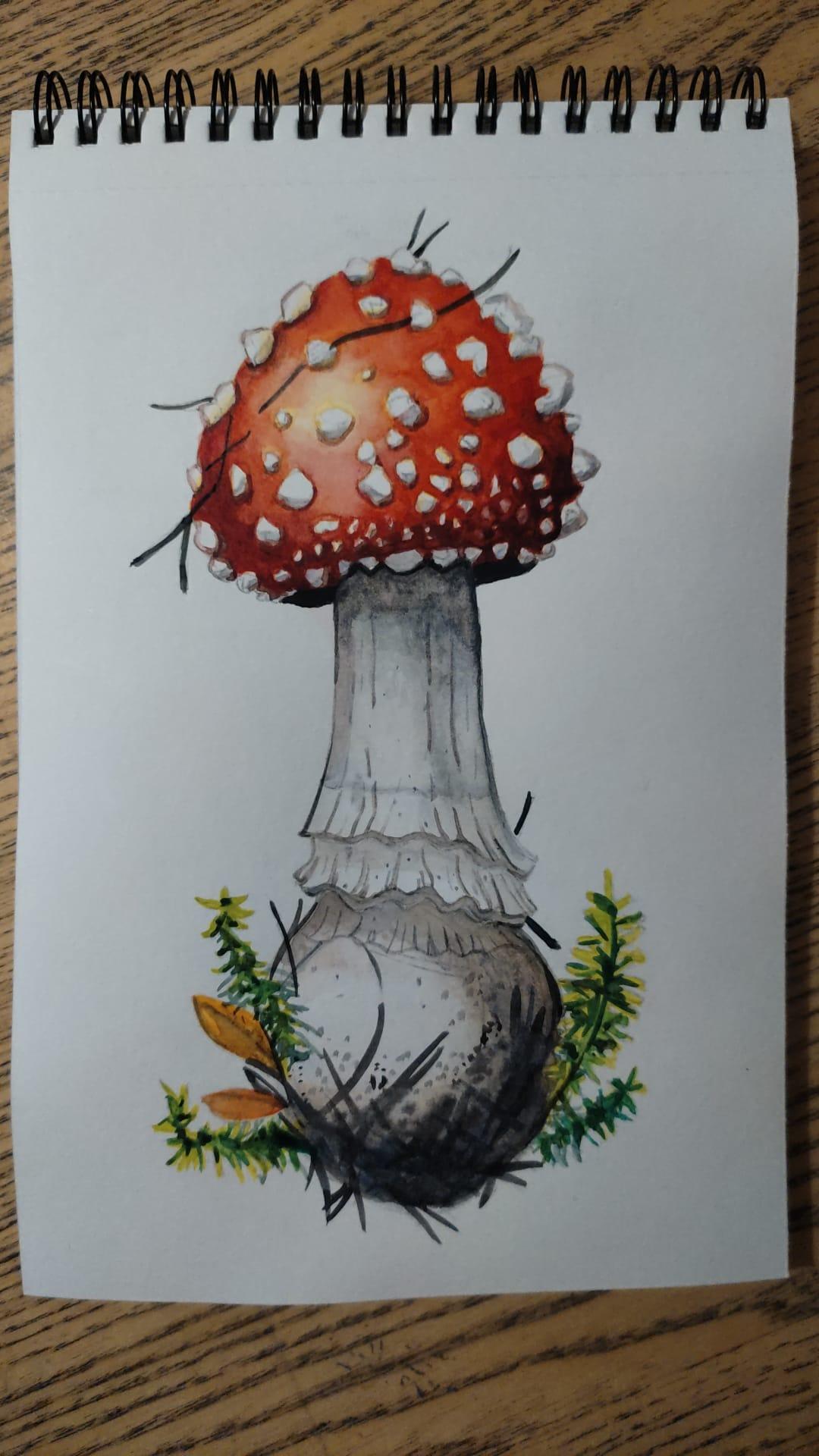 Natura Illustrata Mushroom - image 1 - student project