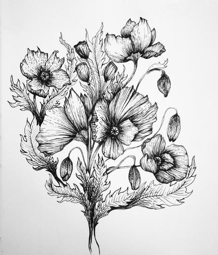 Pen and Ink Poppies - image 1 - student project