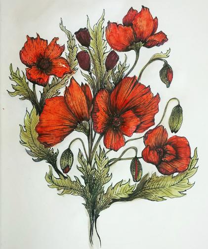 Pen and Ink Poppies - image 2 - student project