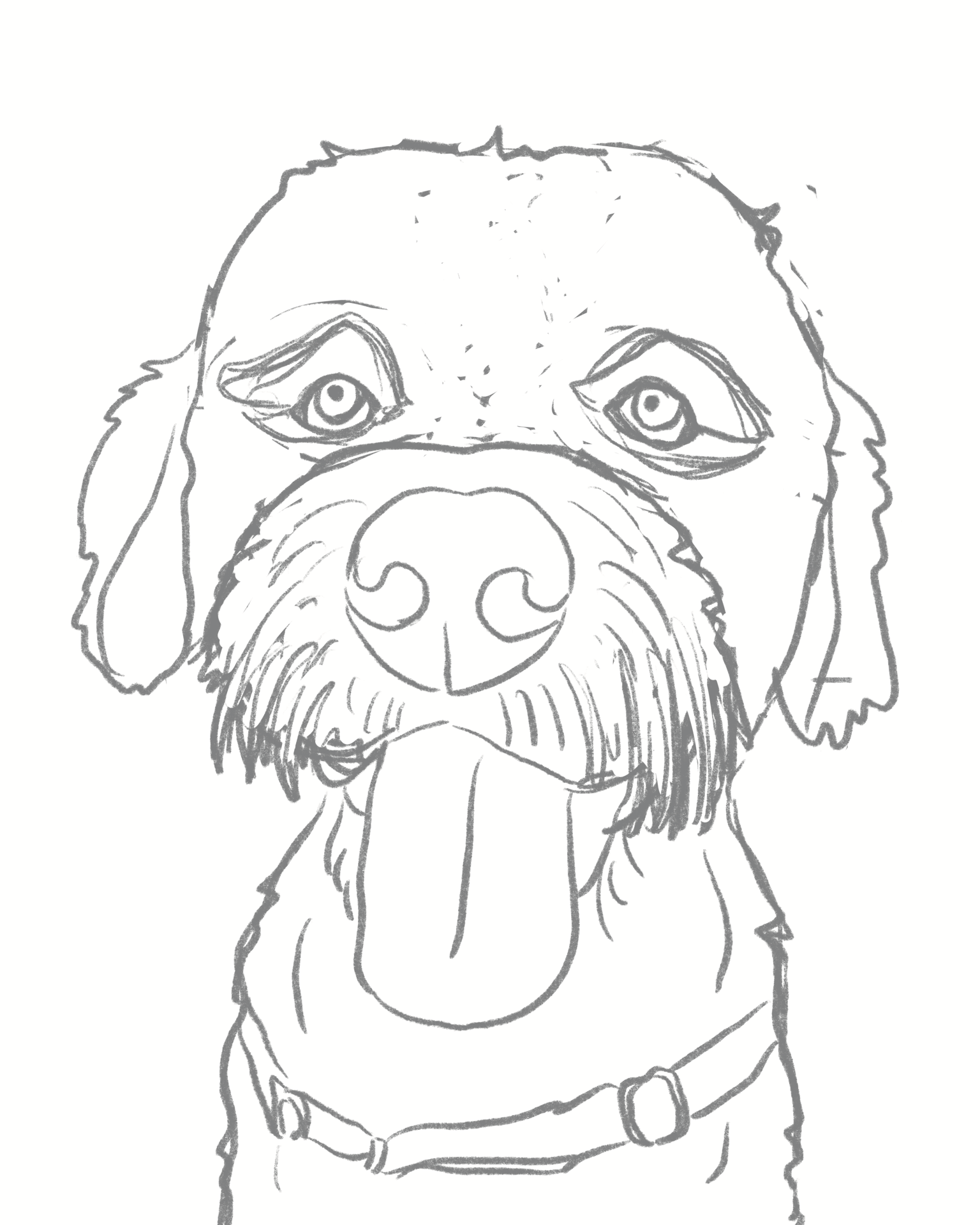 Biscuit Pet Portrait - image 3 - student project