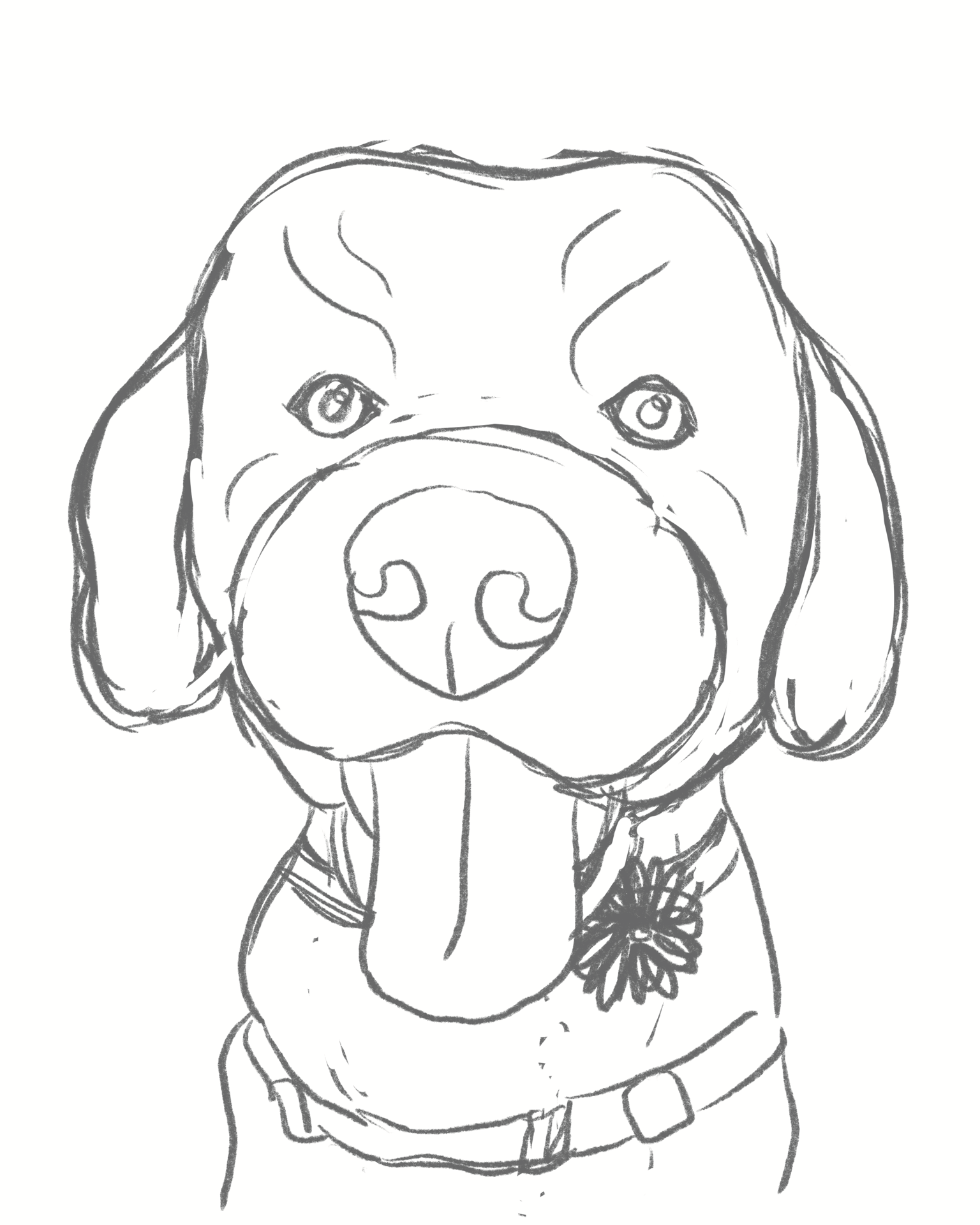 Biscuit Pet Portrait - image 1 - student project