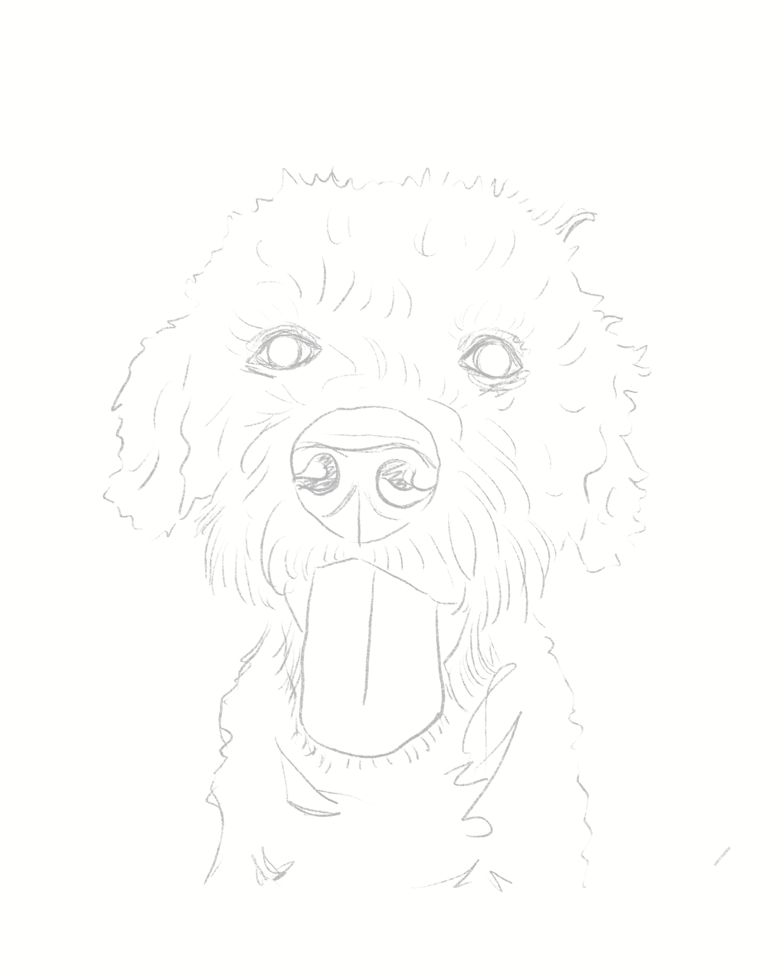 Biscuit Pet Portrait - image 5 - student project