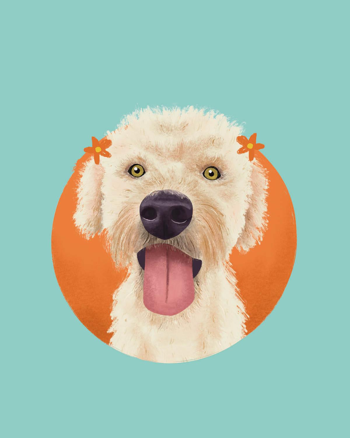 Biscuit Pet Portrait - image 6 - student project
