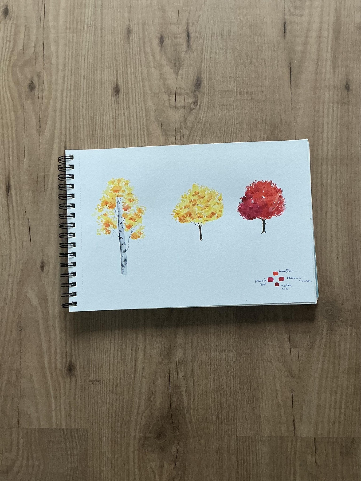 Autumn Trees in watercolor - image 1 - student project