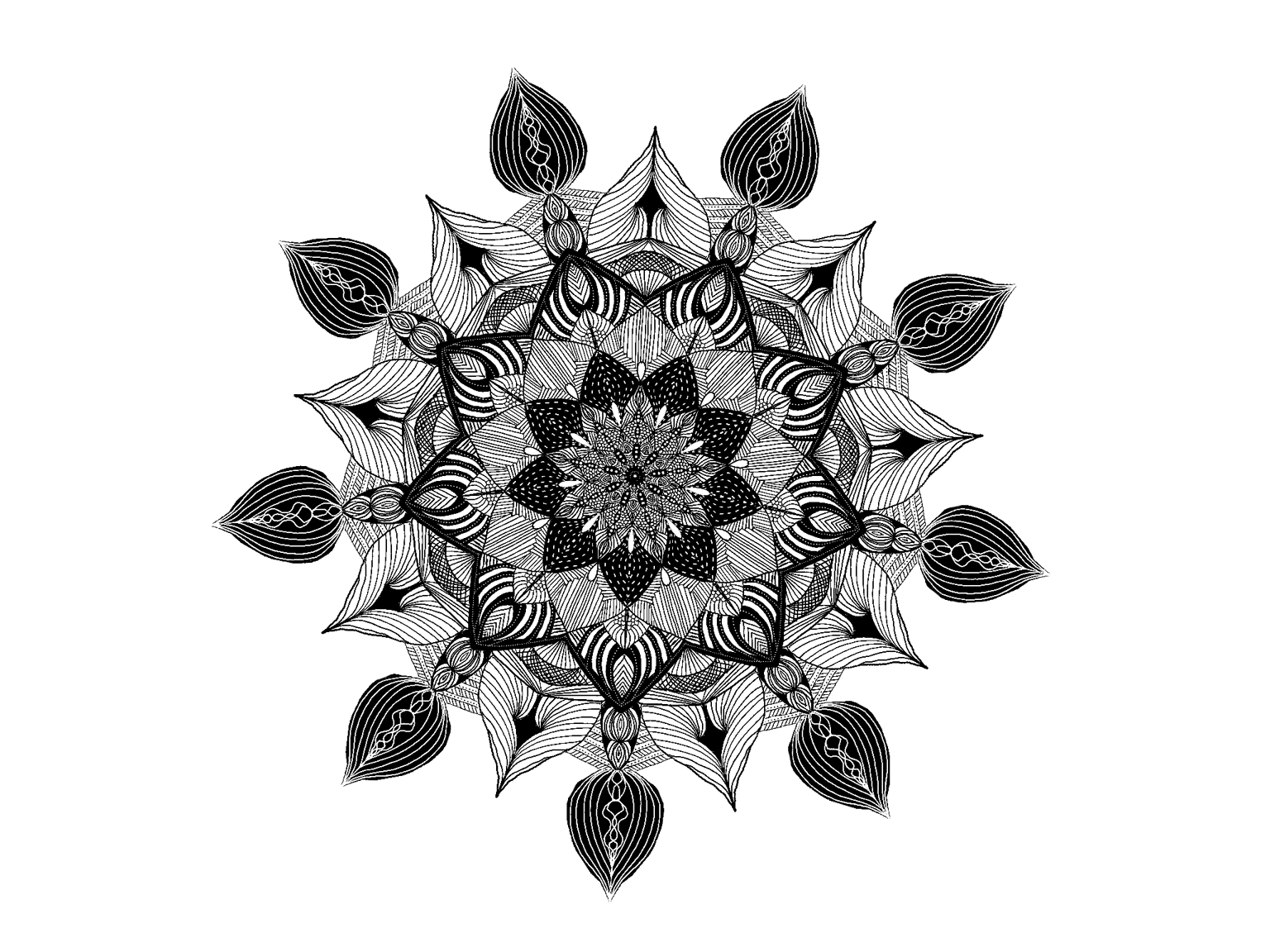 Amaziograph - image 1 - student project