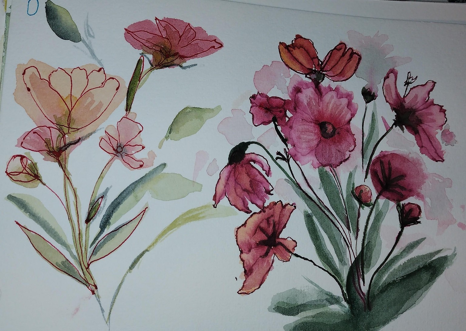 pen & ink flowers - image 1 - student project