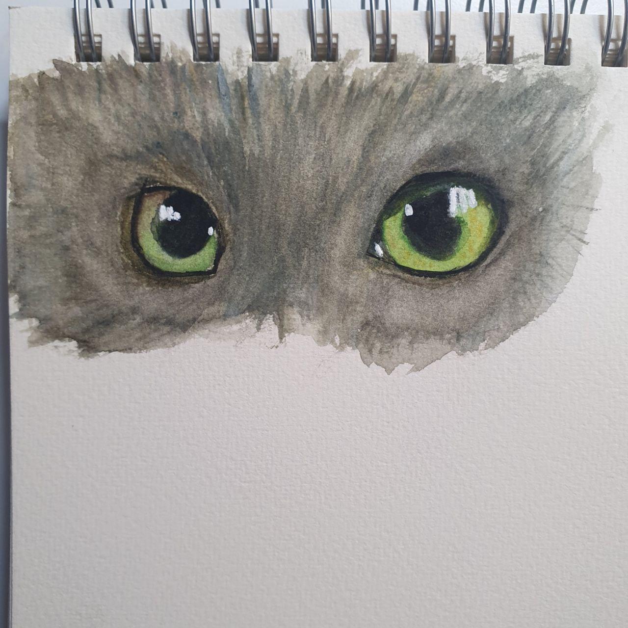 My project - Tabby cat eyes - image 1 - student project