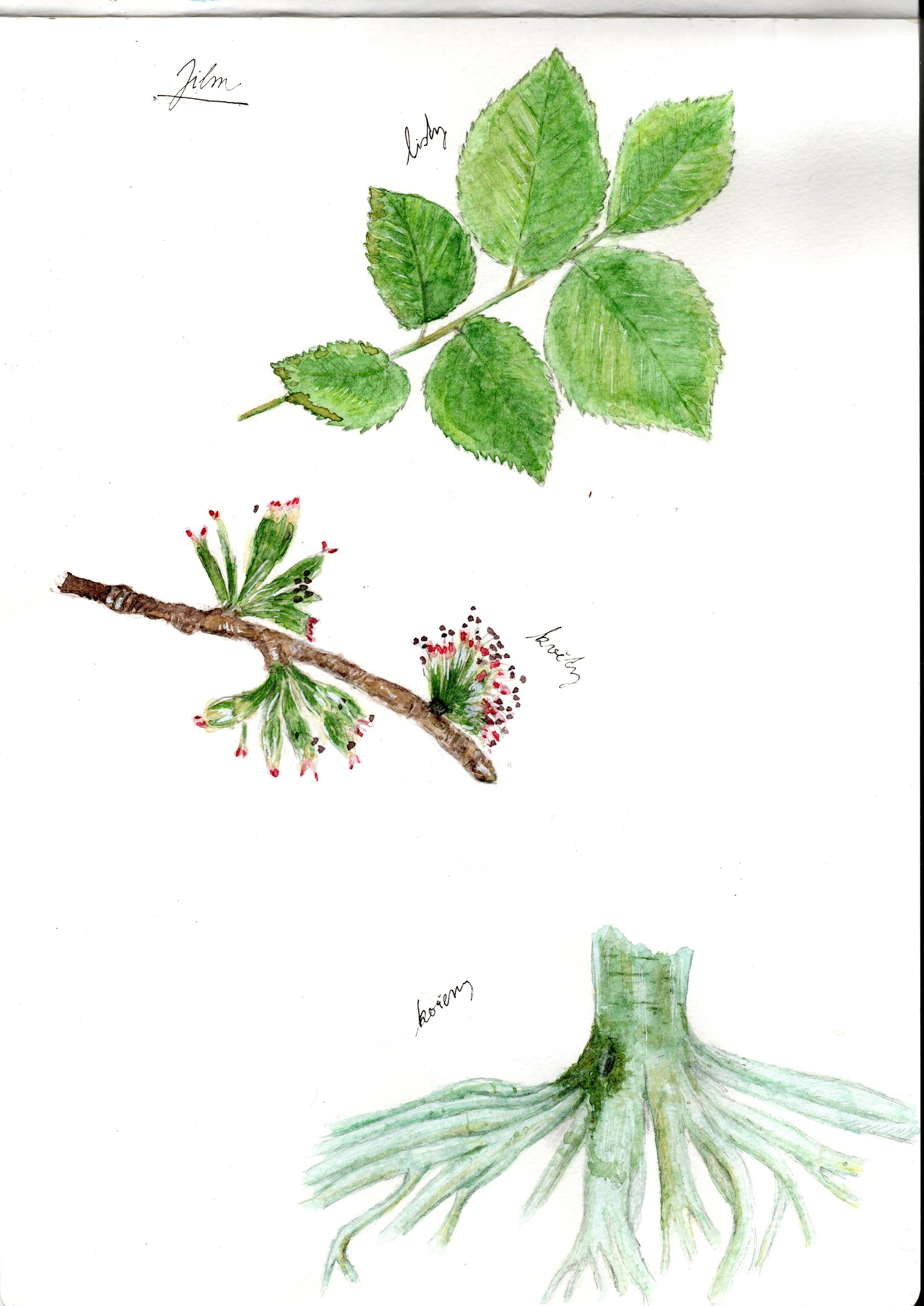 My painting - image 1 - student project