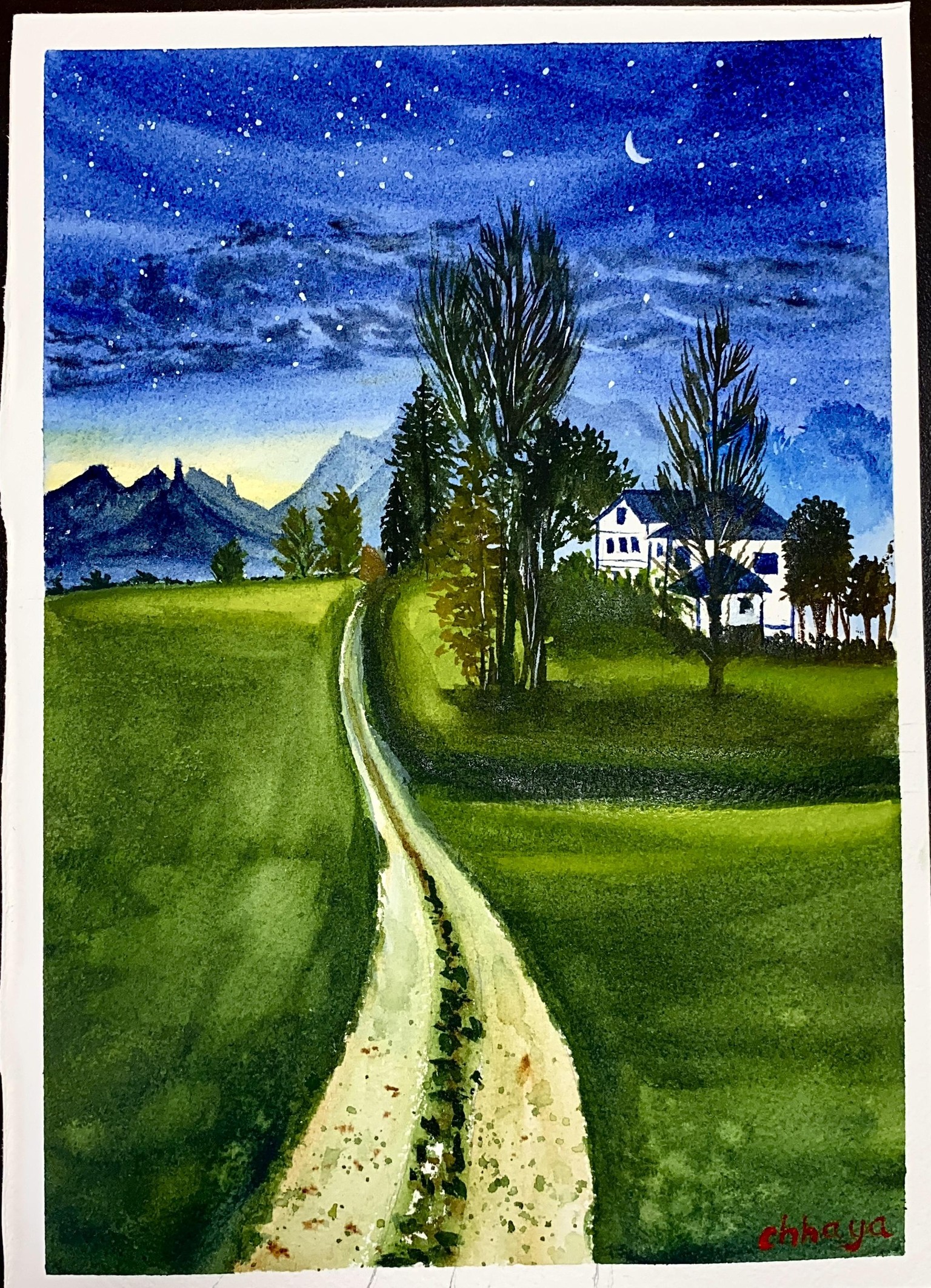 100 Days of Paradise - image 48 - student project