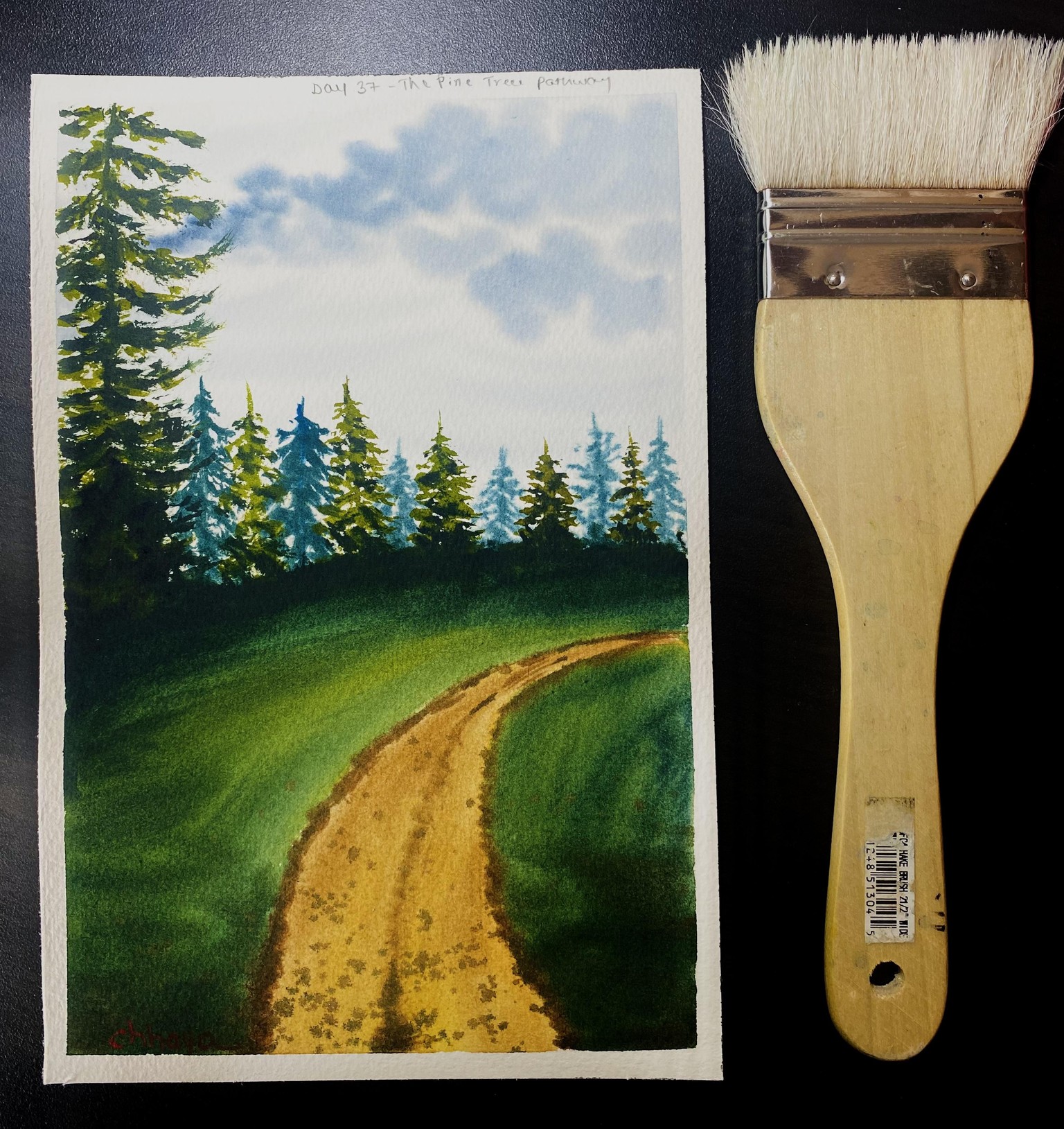 100 Days of Paradise - image 67 - student project