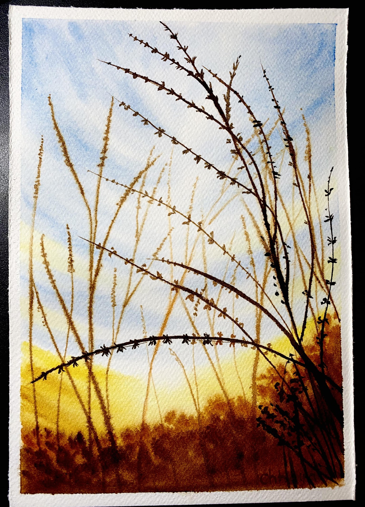 100 Days of Paradise - image 84 - student project