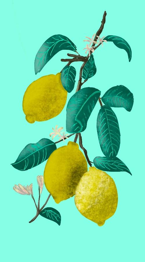 Lemon texture - image 1 - student project
