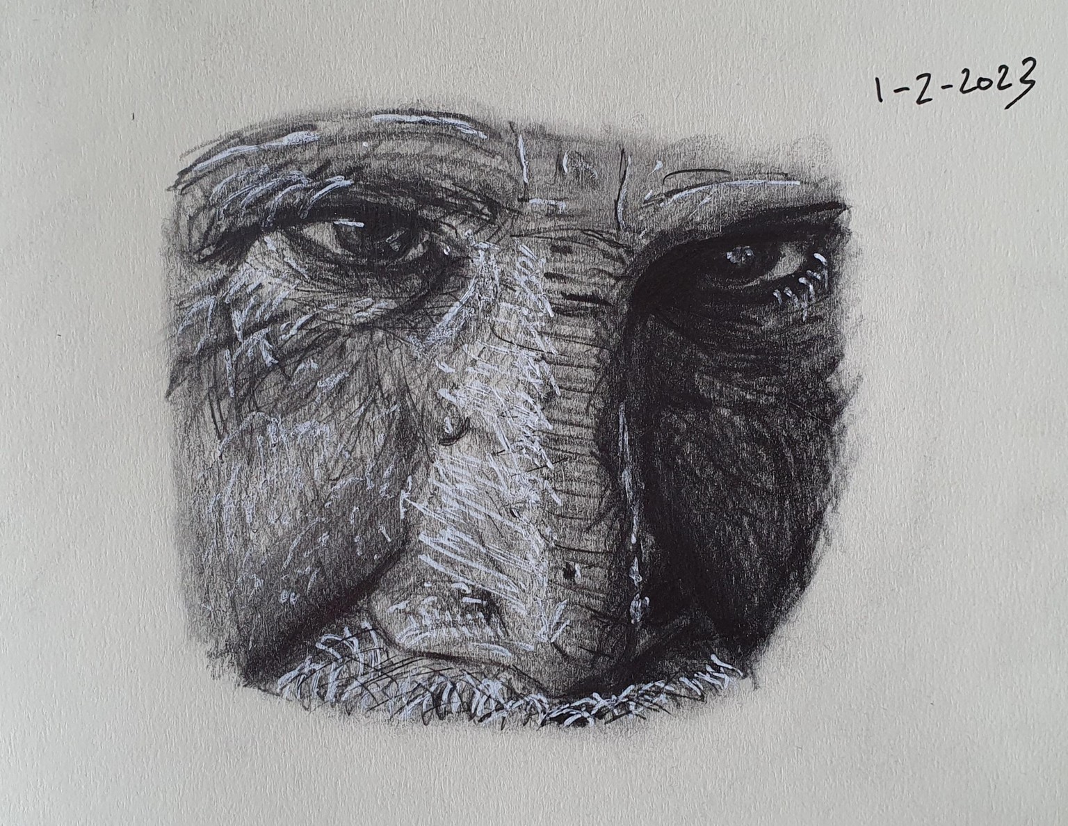 Nose drawing with structure - image 2 - student project