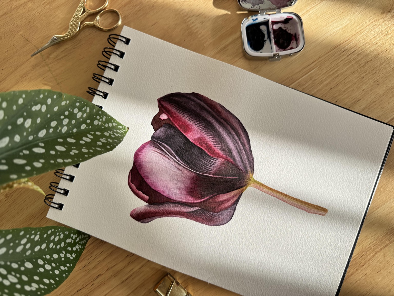 Dark Tulip - image 2 - student project