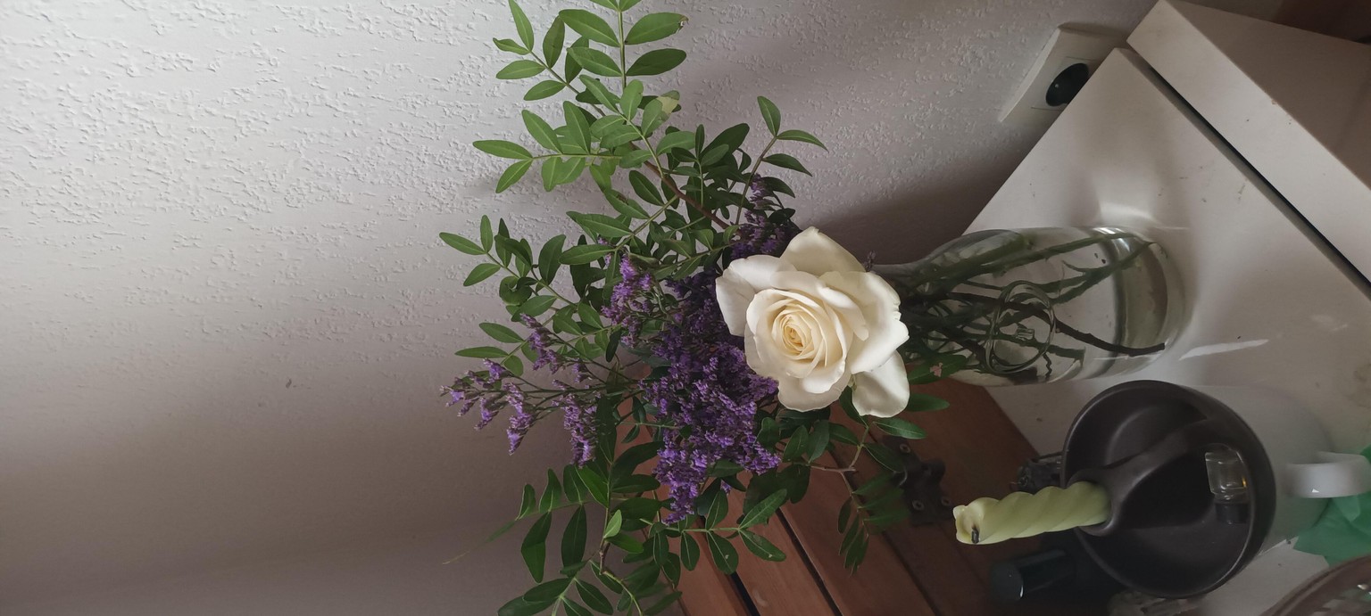 My first Floral Arrangment - image 2 - student project