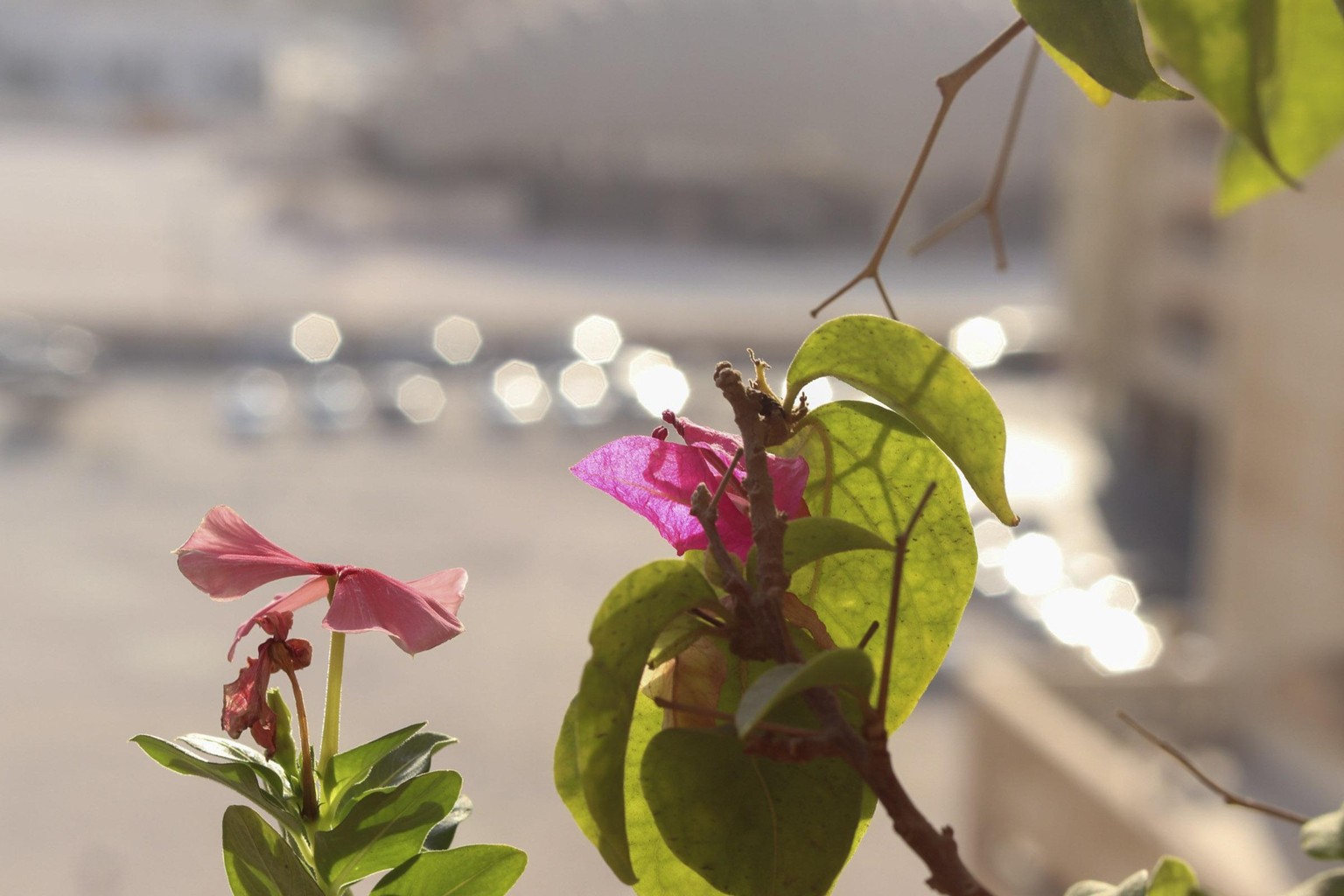 Random Clicks - image 1 - student project