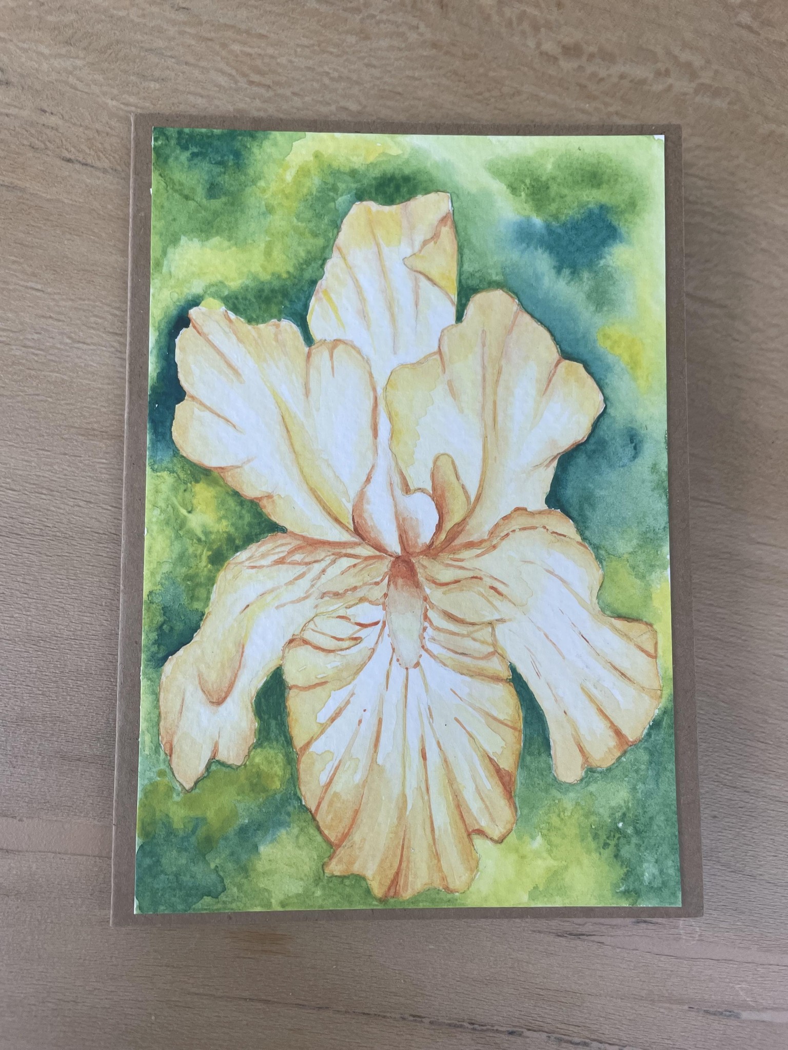 Yellow Iris in watercolour - image 1 - student project